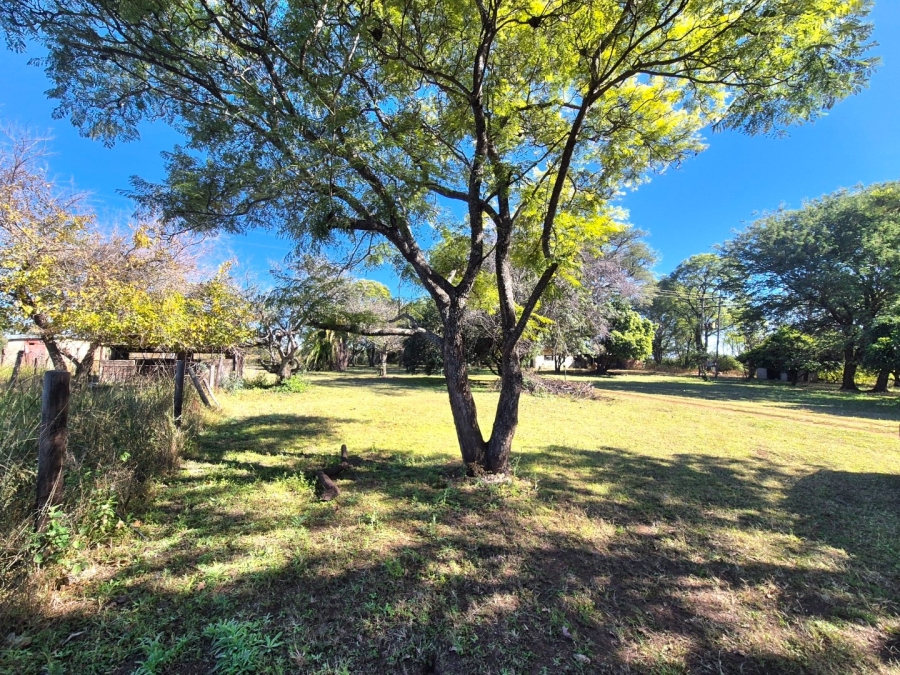 3 Bedroom Property for Sale in Mookgopong Limpopo