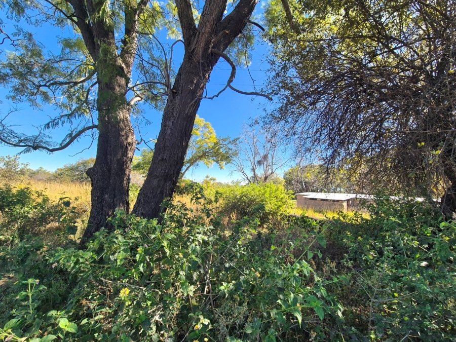 3 Bedroom Property for Sale in Mookgopong Limpopo