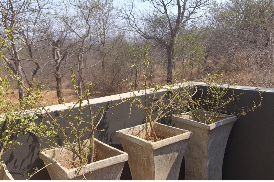 3 Bedroom Property for Sale in Hoedspruit Limpopo