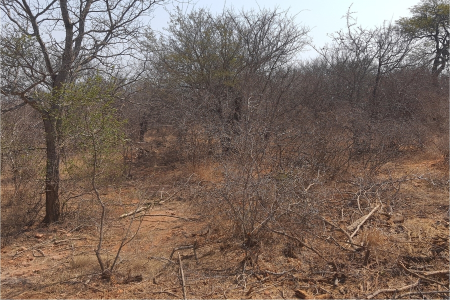 3 Bedroom Property for Sale in Hoedspruit Limpopo