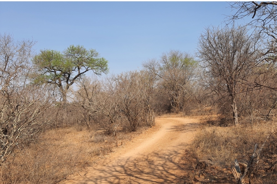 3 Bedroom Property for Sale in Hoedspruit Limpopo
