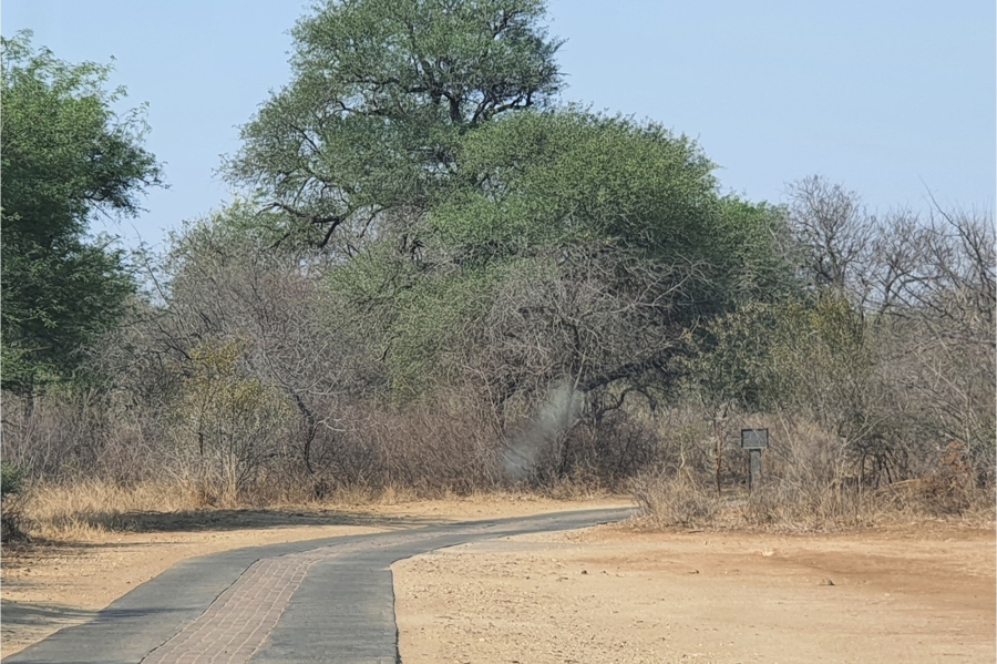 3 Bedroom Property for Sale in Hoedspruit Limpopo