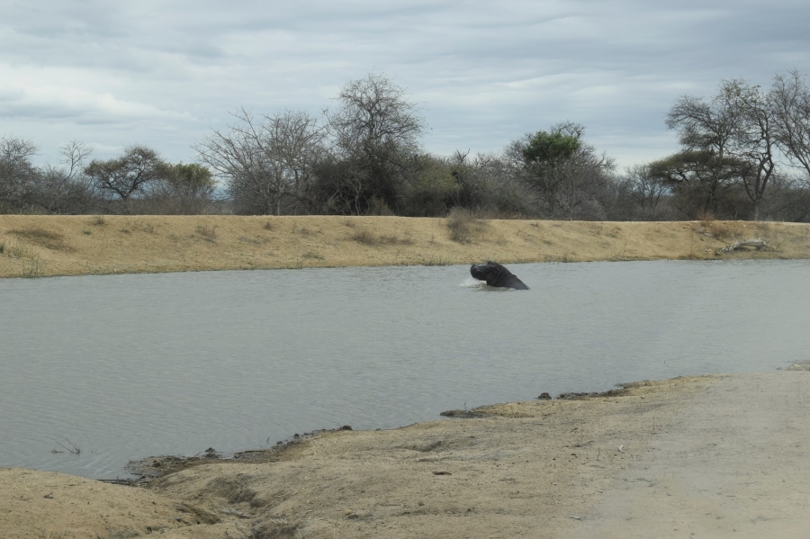 5 Bedroom Property for Sale in Leadwood Big Game Estate Limpopo
