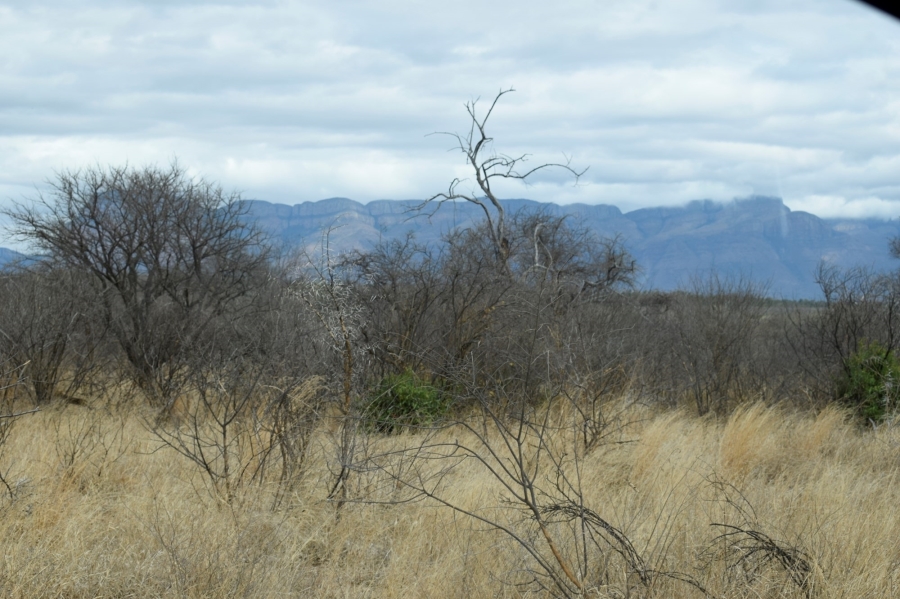 5 Bedroom Property for Sale in Leadwood Big Game Estate Limpopo
