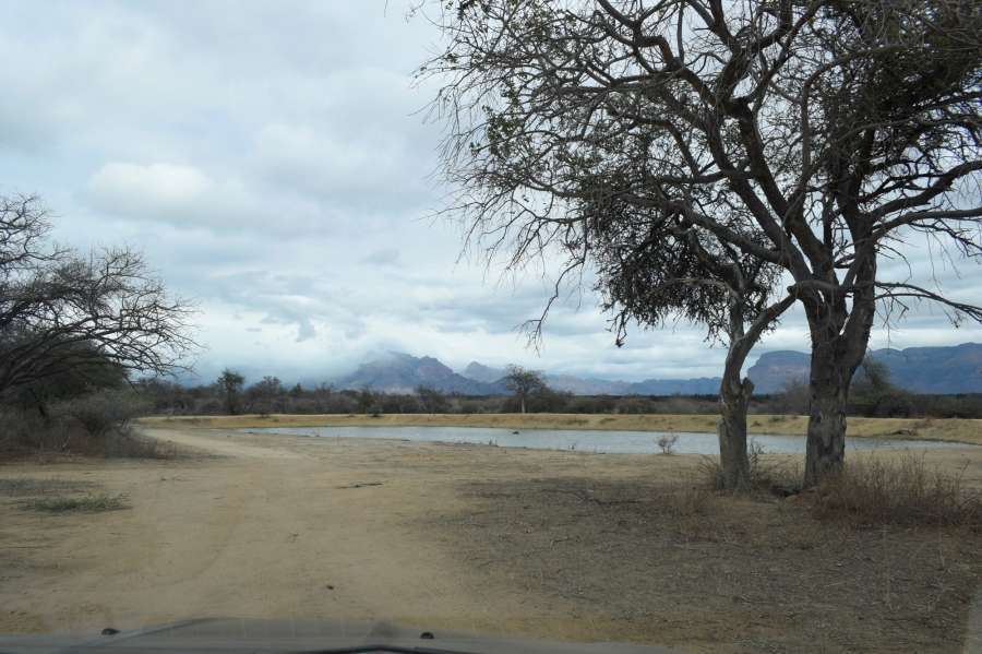 5 Bedroom Property for Sale in Leadwood Big Game Estate Limpopo