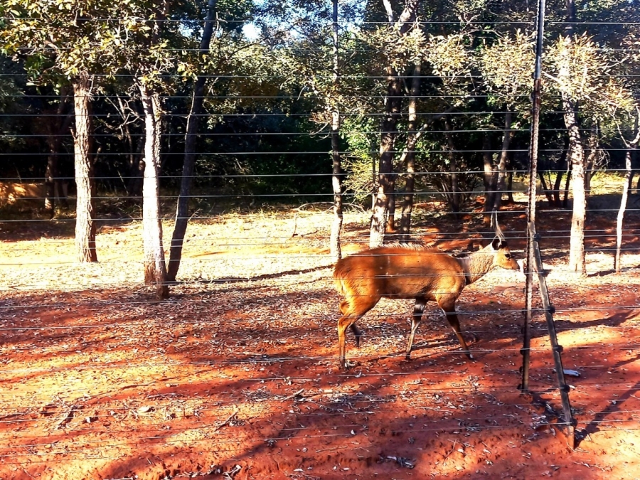 0 Bedroom Property for Sale in Bela Bela Limpopo