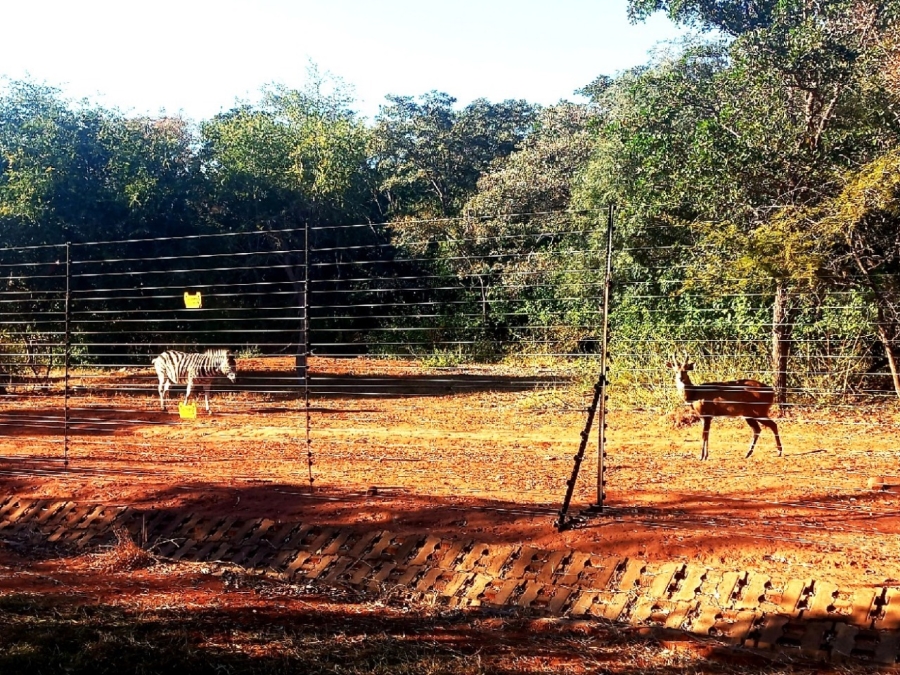 0 Bedroom Property for Sale in Bela Bela Limpopo