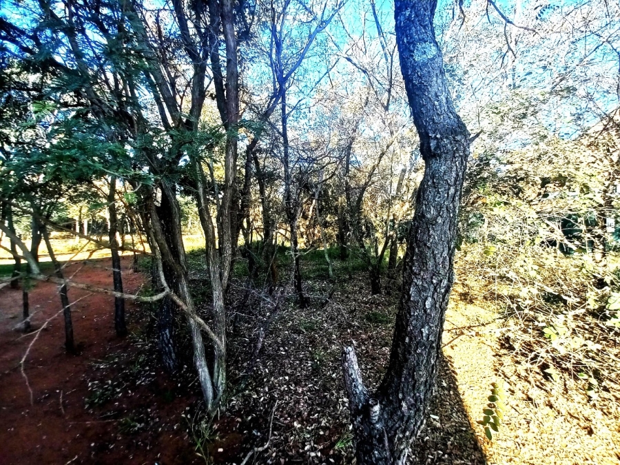0 Bedroom Property for Sale in Bela Bela Limpopo