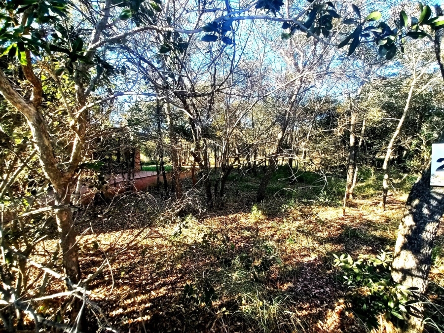 0 Bedroom Property for Sale in Bela Bela Limpopo