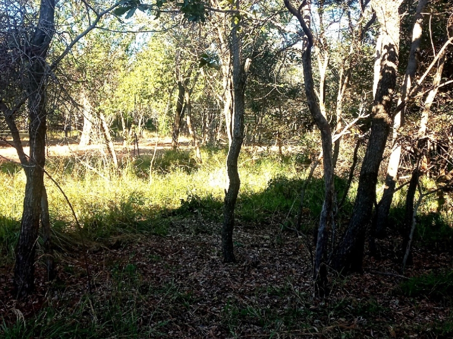 0 Bedroom Property for Sale in Bela Bela Limpopo