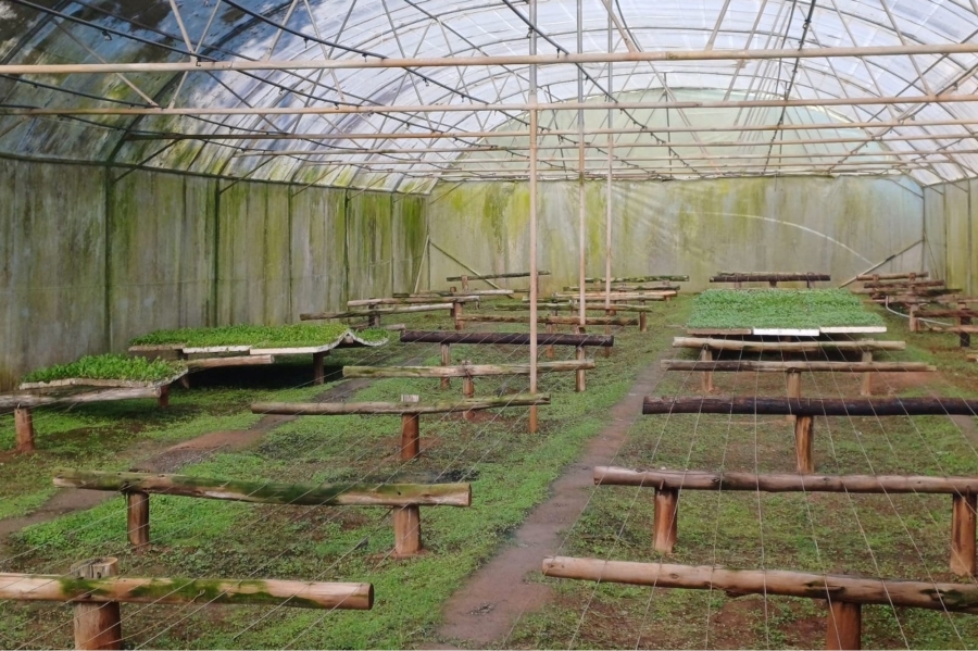Commercial Property for Sale in Louis Trichardt Industrial Area Limpopo