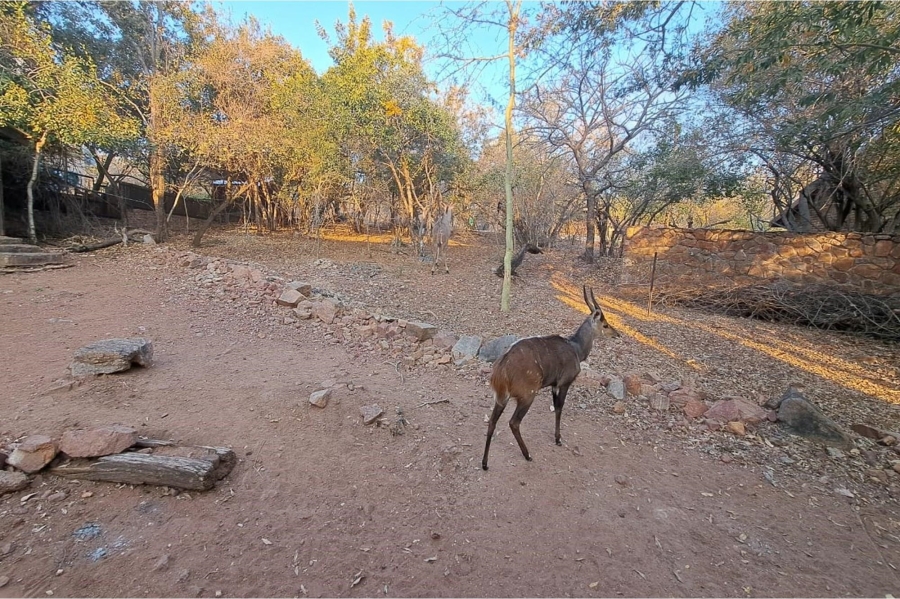 0 Bedroom Property for Sale in Leeupoort Limpopo