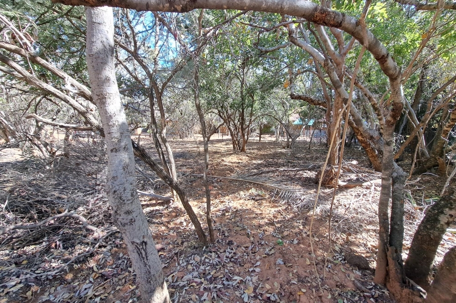 0 Bedroom Property for Sale in Leeupoort Limpopo