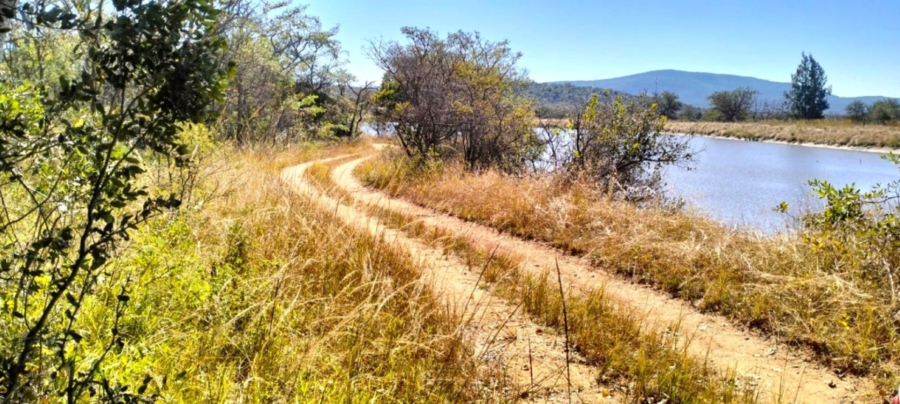32 Bedroom Property for Sale in Mookgopong Limpopo