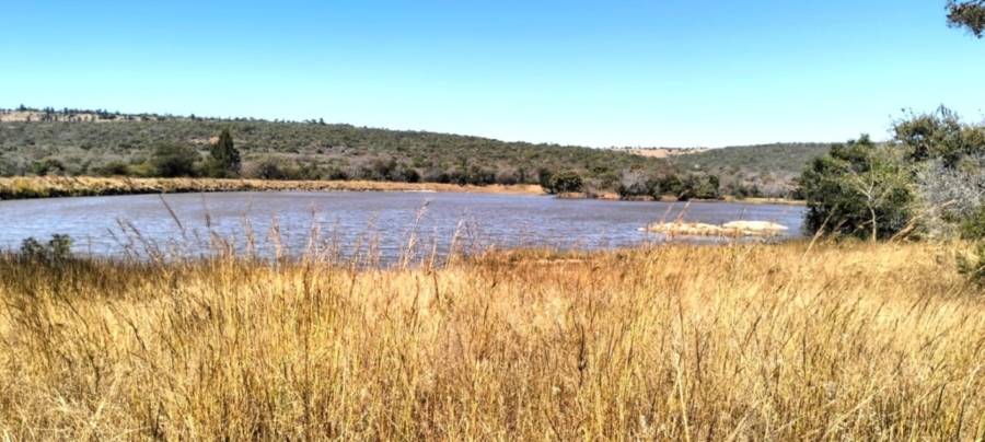 32 Bedroom Property for Sale in Mookgopong Limpopo