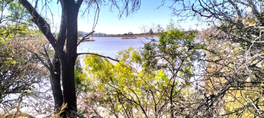 32 Bedroom Property for Sale in Mookgopong Limpopo