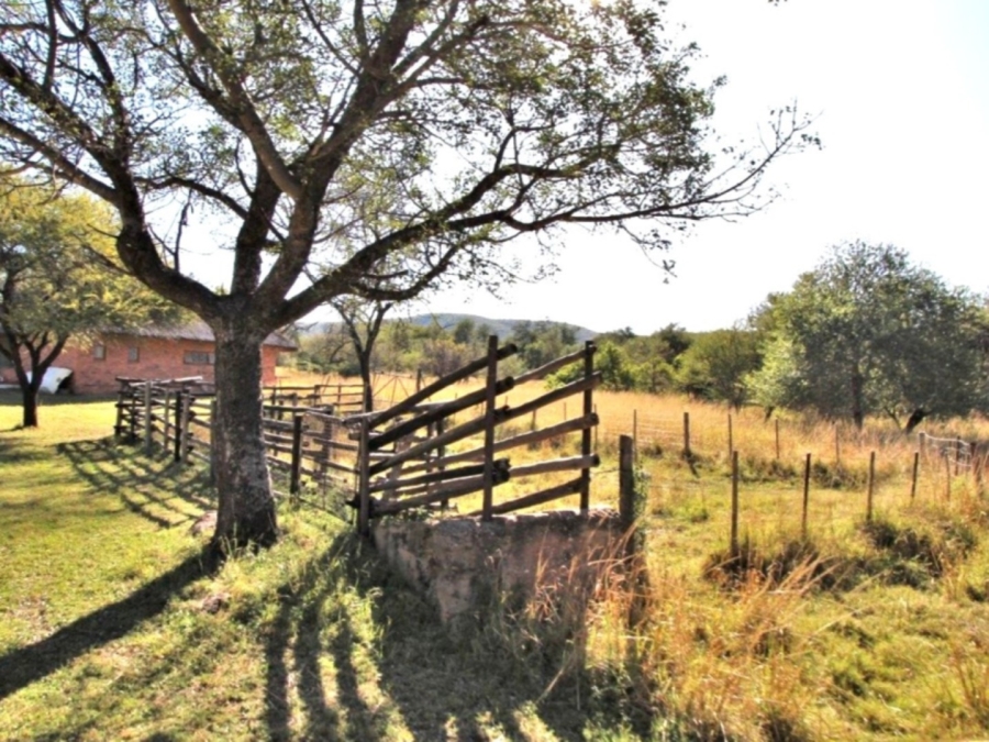 32 Bedroom Property for Sale in Mookgopong Limpopo