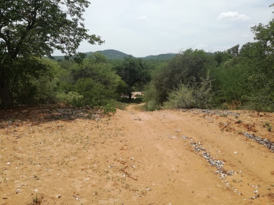 Commercial Property for Sale in Musina Limpopo