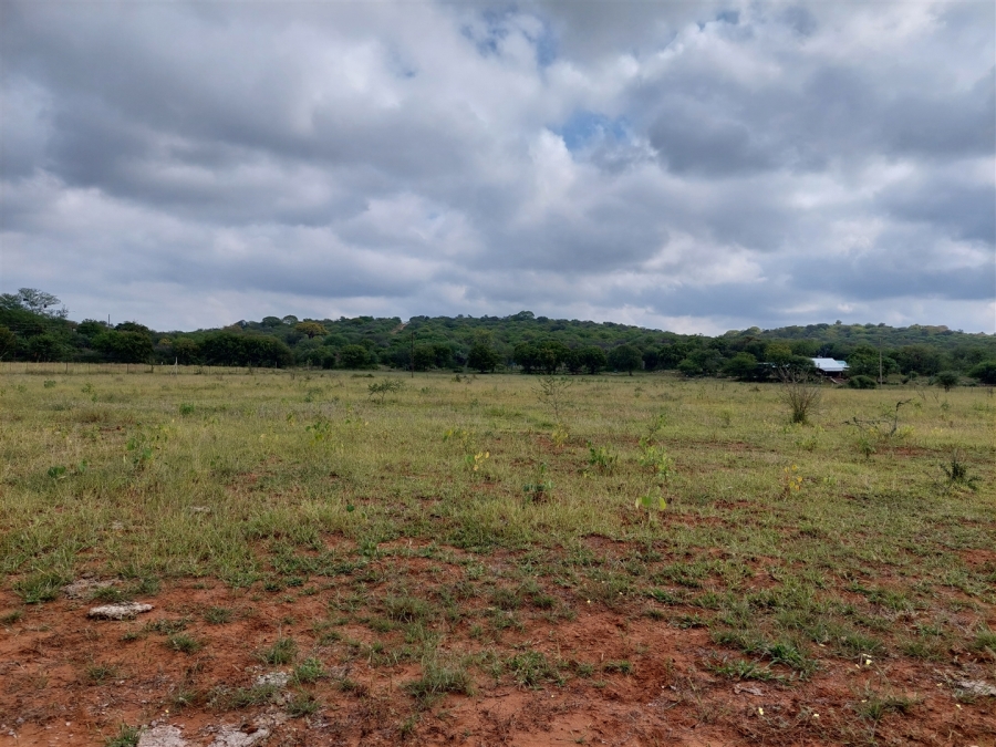 Commercial Property for Sale in Musina Limpopo