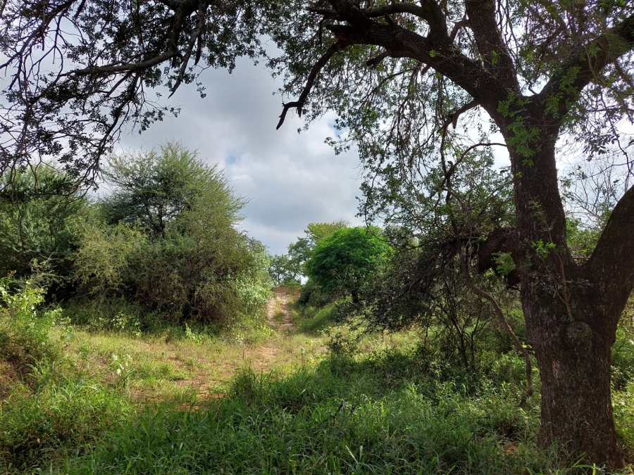 Commercial Property for Sale in Musina Limpopo