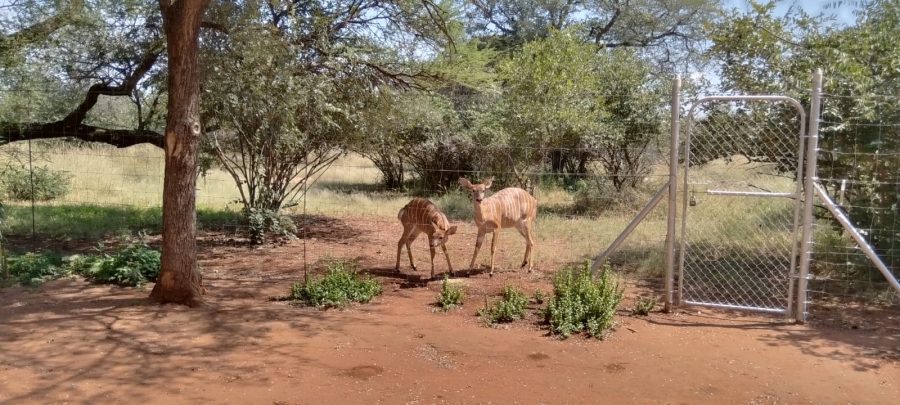 Commercial Property for Sale in Lephalale Limpopo