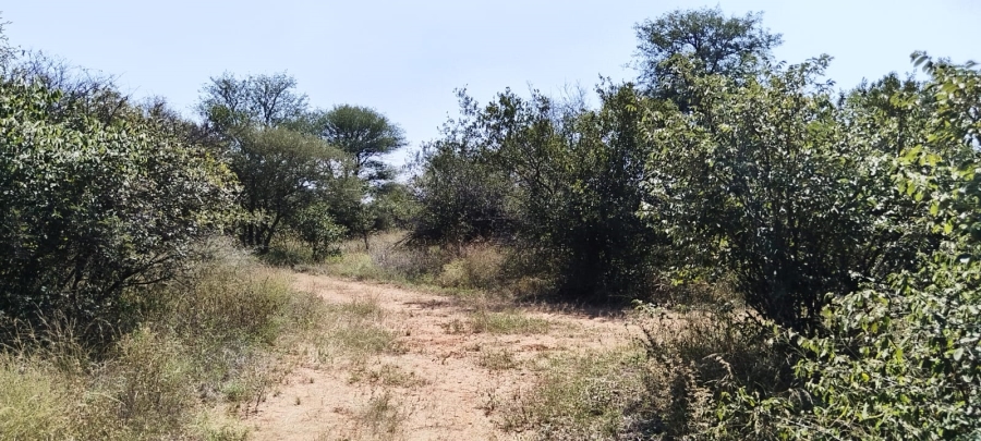 Commercial Property for Sale in Lephalale Limpopo