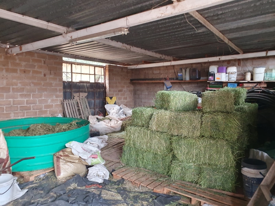 3 Bedroom Property for Sale in Groblersdal Limpopo