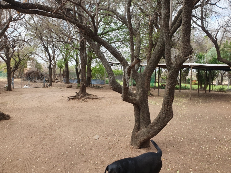3 Bedroom Property for Sale in Groblersdal Limpopo