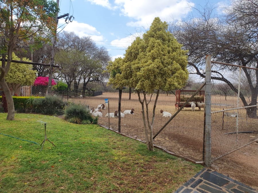 3 Bedroom Property for Sale in Groblersdal Limpopo