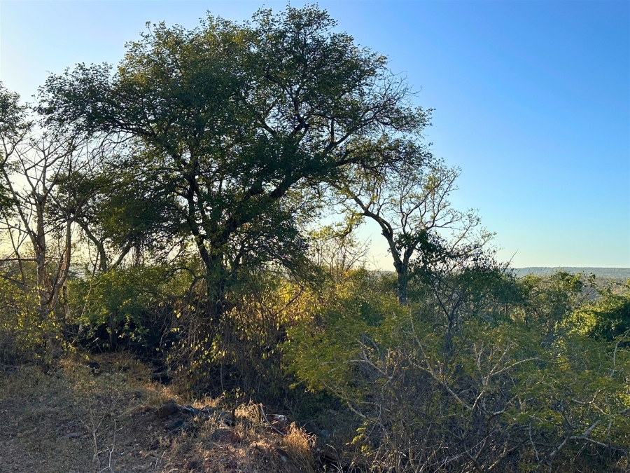 0 Bedroom Property for Sale in Elephant Rock Eco Estate Limpopo