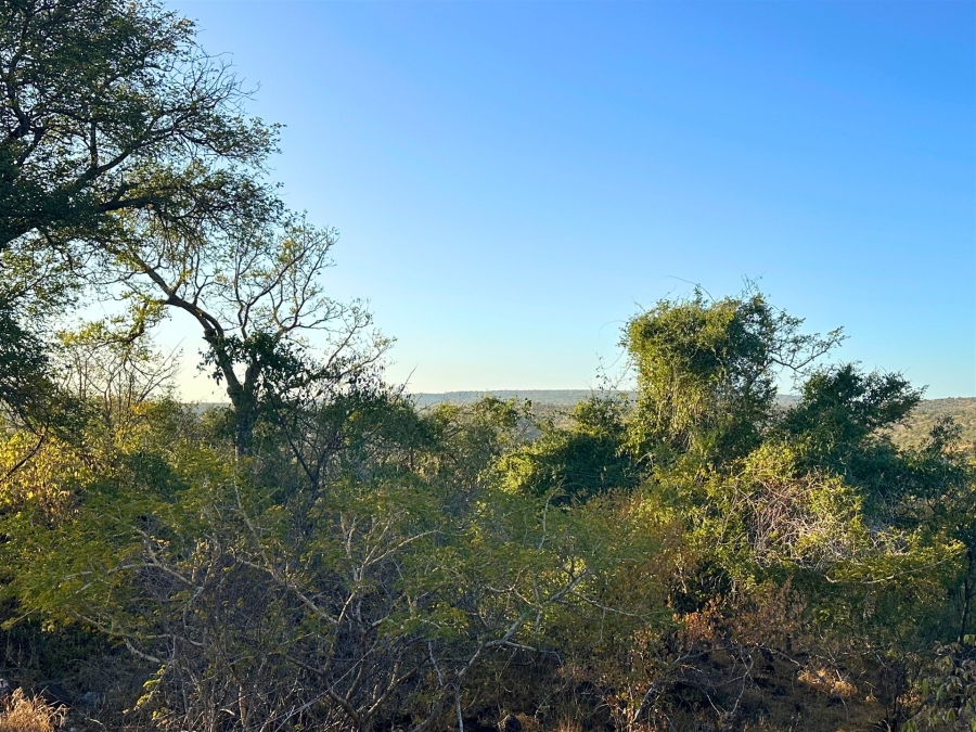 0 Bedroom Property for Sale in Elephant Rock Eco Estate Limpopo