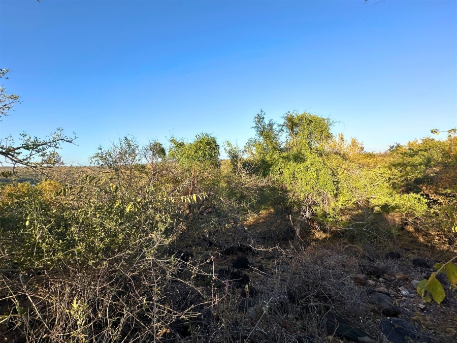 0 Bedroom Property for Sale in Elephant Rock Eco Estate Limpopo
