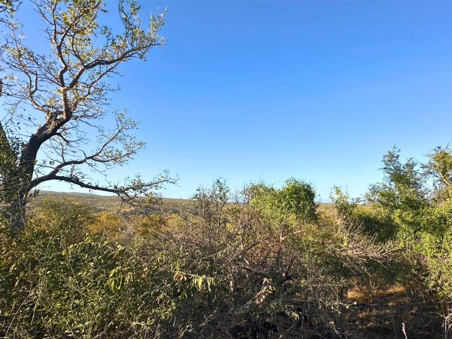 0 Bedroom Property for Sale in Elephant Rock Eco Estate Limpopo