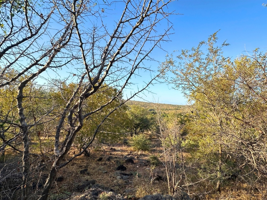 0 Bedroom Property for Sale in Elephant Rock Eco Estate Limpopo