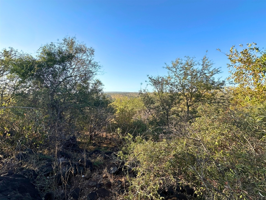 0 Bedroom Property for Sale in Elephant Rock Eco Estate Limpopo
