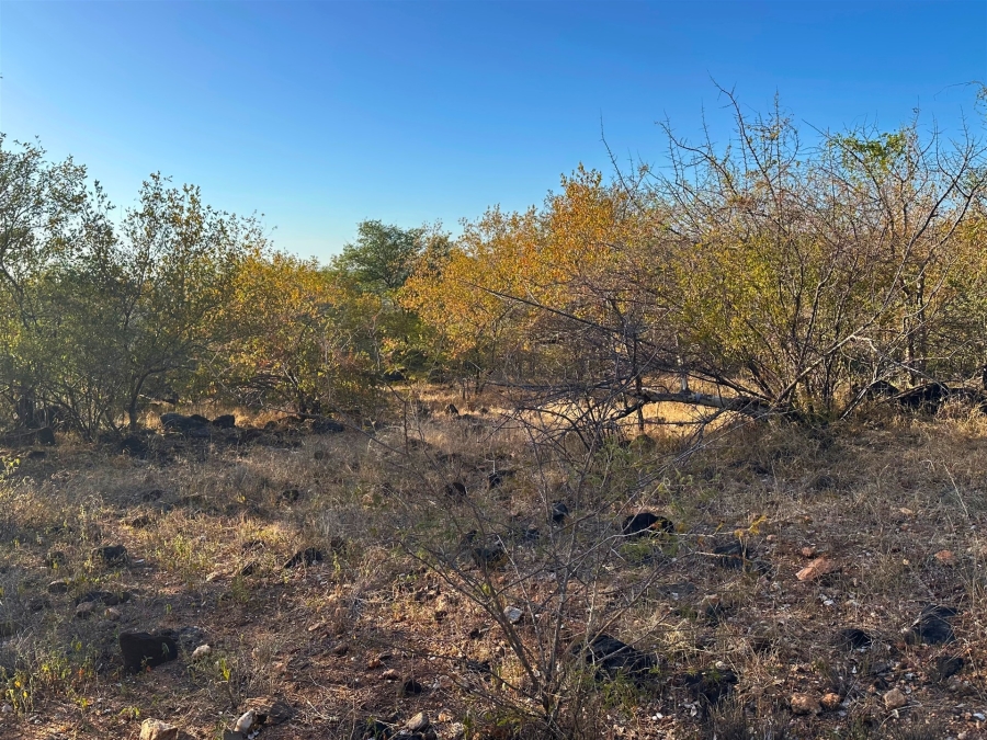 0 Bedroom Property for Sale in Elephant Rock Eco Estate Limpopo