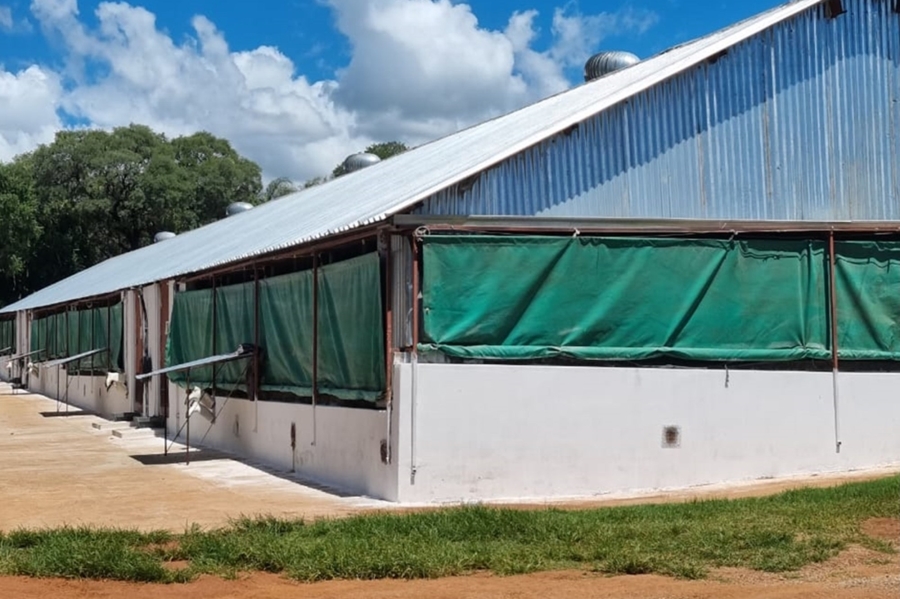 0 Bedroom Property for Sale in Mahwelereng Limpopo
