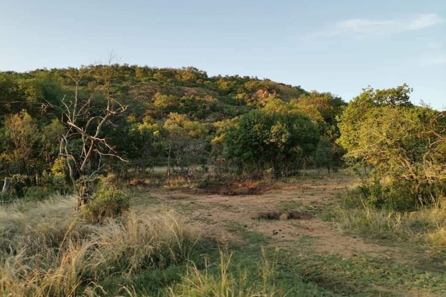 0 Bedroom Property for Sale in Mahwelereng Limpopo