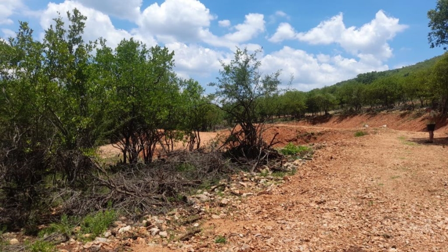 0 Bedroom Property for Sale in Groblersdal Limpopo