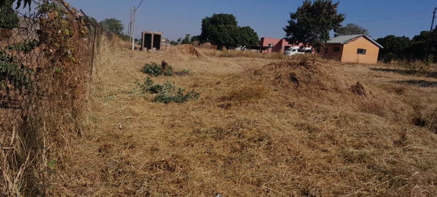 0 Bedroom Property for Sale in Malamulele Limpopo