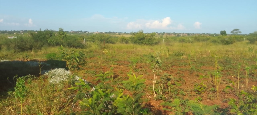 0 Bedroom Property for Sale in Malamulele Limpopo