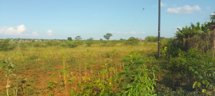 0 Bedroom Property for Sale in Malamulele Limpopo
