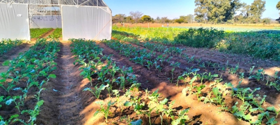 4 Bedroom Property for Sale in Modimolle Limpopo