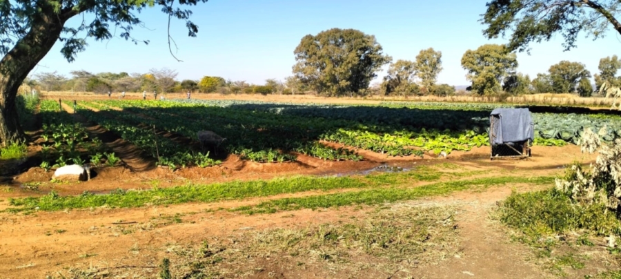 4 Bedroom Property for Sale in Modimolle Limpopo