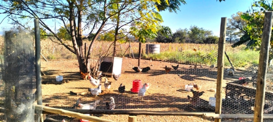4 Bedroom Property for Sale in Modimolle Limpopo