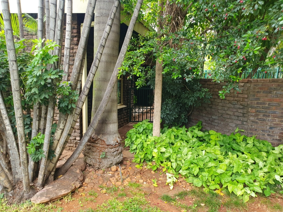 4 Bedroom Property for Sale in Marble Hall Limpopo