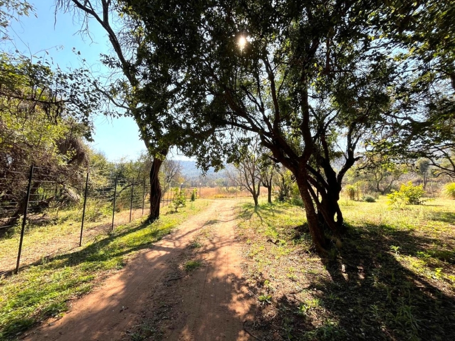 To Let 3 Bedroom Property for Rent in Modimolle Limpopo