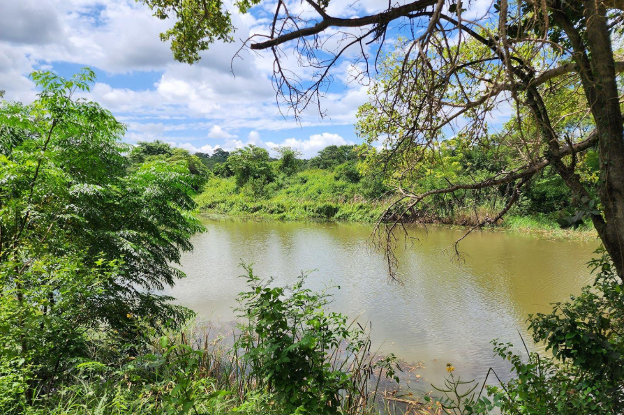 Commercial Property for Sale in Levubu Limpopo