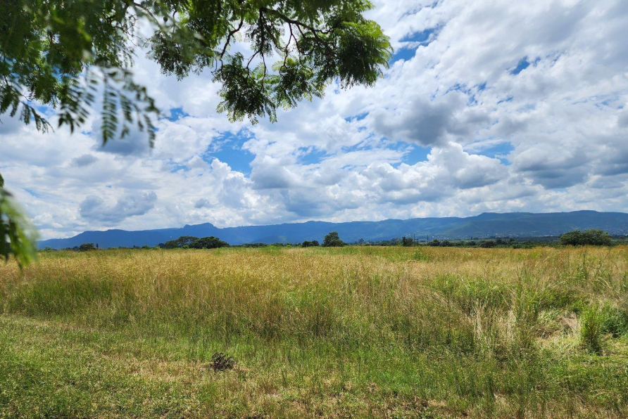 Commercial Property for Sale in Levubu Limpopo