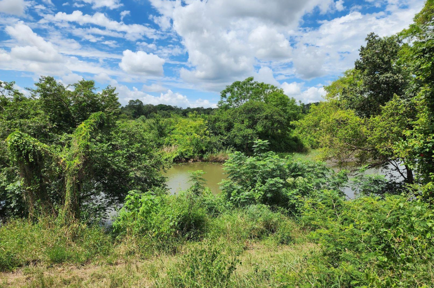 Commercial Property for Sale in Levubu Limpopo